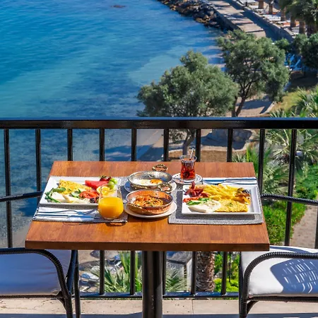 Med-inn Hotel Gulluk