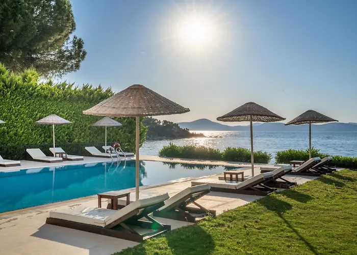 Med-inn Gulluk