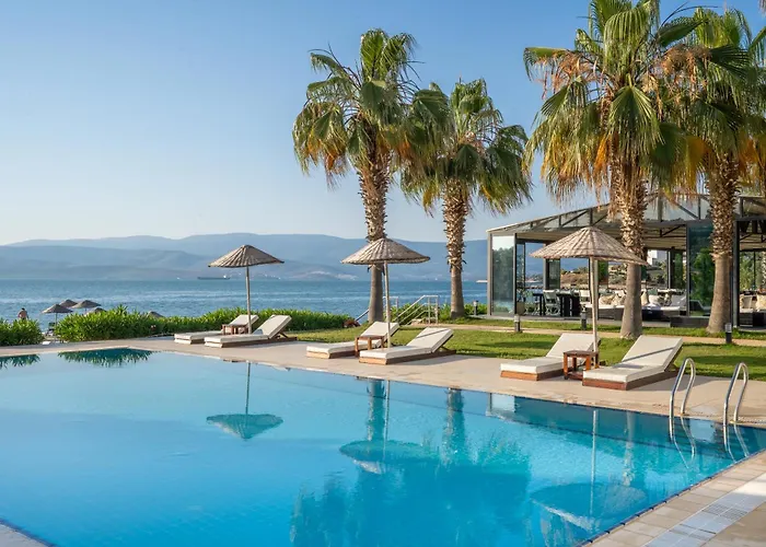 Med-inn Gulluk